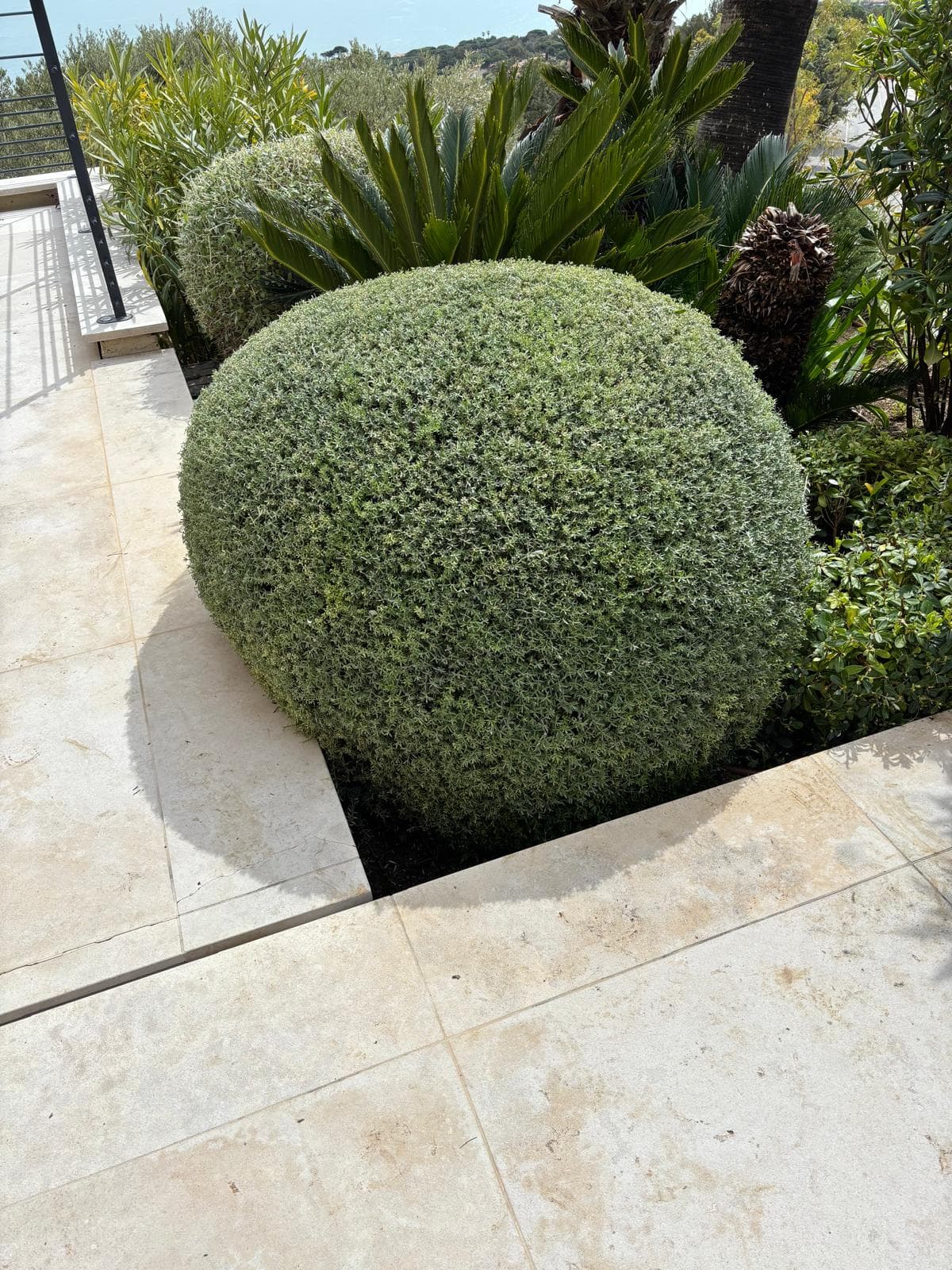 Entretien de parcs et jardins
